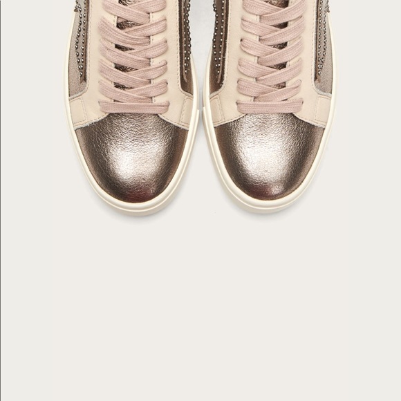 Frye ivy logo sneakers - Picture 5 of 8